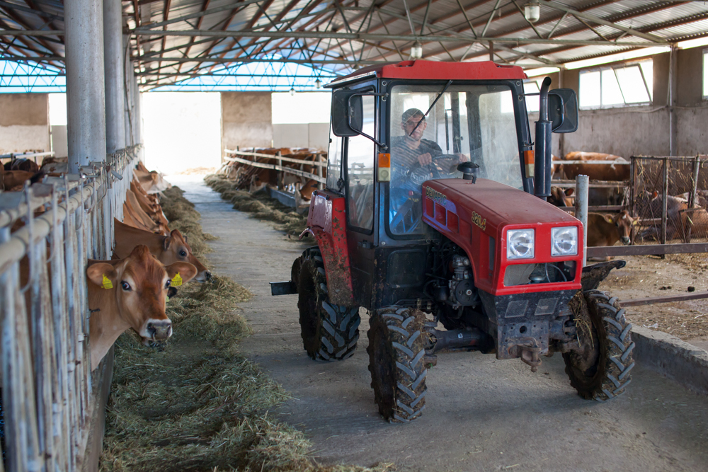 Moo-ving Toward Sustainable Dairy Farming