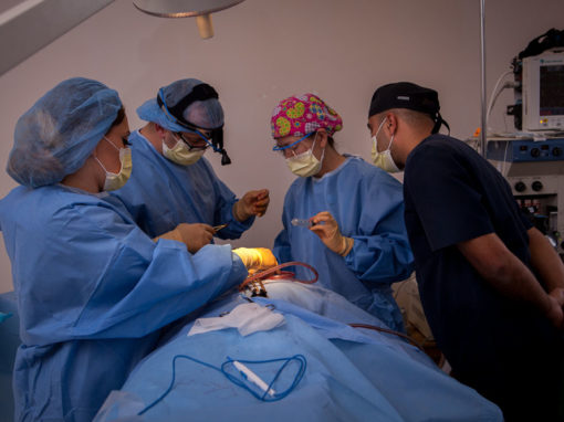 Medical mission to Noyemberyan